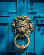 Lion Head Knocker Blue Door
