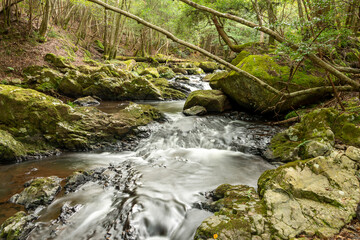 Water flow in Ruri valley in Sonobe, Nantan city, Kyoto, Japan in summer