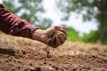 Hand of farmer checking soil health before growth a seed of vegetable or plant seedling. Agriculture concept.