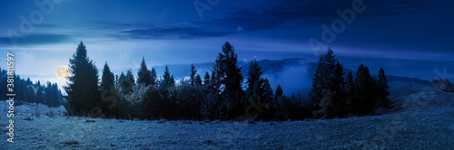 foggy autumn landscape panorama at night. spruce trees on the meadow in full moon light. mountain behind the morning mist. cloud inversion natural phenomenon observed from the side