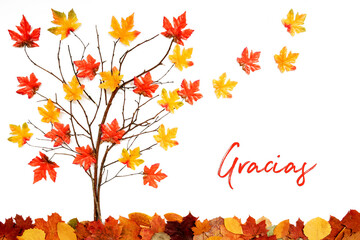 Wall Mural - branches building tree with bright colorful leaf decoration. red and yellow leaves flying away due t