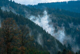 Fototapeta Sypialnia - Fog lingers in the mountains of the Black Forest, Germany, in early May
