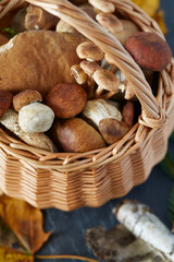 Poster - wooden wicker full of forest mushrooms