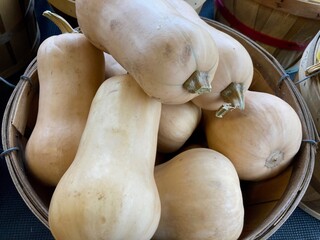 Wall Mural - butternut squash at a market