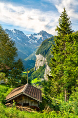 Wall Mural - Panorama of the Lauterbrunnen valley from Wengen in the Swiss Alps