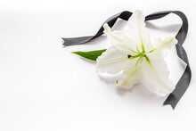 Funeral Symbols. White Lily With Black Ribbon, Top View