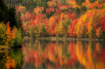 autumn colours