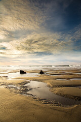 Wall Mural - Sunser on the central Oregon Coast at Neskowin beach, just north of Lincoln City.  Centuraries old tree stumps are in the foreground  Centuries old tree stumps are in foreground.