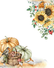 Watercolor Autumn Composition With Robins, Pumpkins, Basket, Sunflowers And Berries. Hand Painted Rustic Card Isolated On White Background. Floral Illustration For Design, Print, Fabric Or Background.