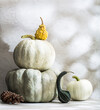© Bidwell Studio - Artisanal pumpkins and gourds on a neutral background