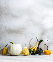 Artisanal Pumpkins And Gourds On A Neutral Background
