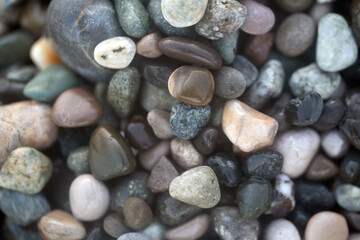 Wet sea smooth glossy stones close up background in natural colors. Grey, white and brown tranquil palette.