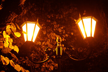 Poster - beautiful glowing street lamp in the park at night