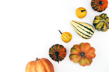Wall Mural - Autumn flat lay on an isolated white background made of pumpkins.