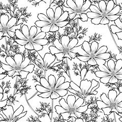 Wall Mural - floral seamless pattern with cosmos flower. black and white design.