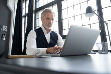 Wall Mural - Concentrated at work. Mature man in full suit using laptop while working in modern office