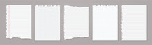 White Lined And Math Note, Notebook Paper With Torn Edges Stuck On Light Grey Backgroud. Vector Illustration