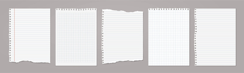 White lined and math note, notebook paper with torn edges stuck on light grey backgroud. Vector illustration