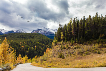 Wall Mural - The magic colors of northern autumn