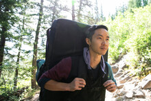 Young Man Hiking With Camping Equipment In Sunny Woods