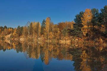 Autumn landscape, forest trees are reflected in calm river water against a background of blue sky and white clouds.