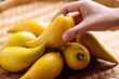 Eggfruit or canistel holding by hand, Thai fruit, In Thai names such as Xiantao, Lamut Khamen or Mon khai