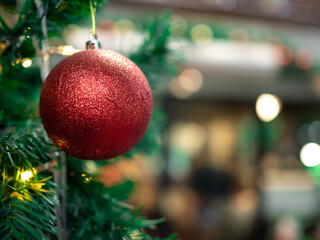 Red ball and gold star green tree pine use decoration on interior window shop store design for celebration happy new year 2021 holiday vacation winter season december merry christmas  