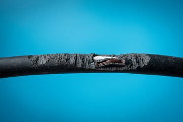 Damage on rubber of electricity wire from rat bite on blue background