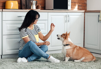 Poster - Woman with cute corgi dog in kitchen at home