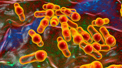 Poster - Spore-forming bacteria Clostridium