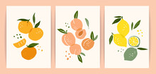 Collection Of Contemporary Art Prints. Abstract Fruits. Oranges, Pears And Lemons.