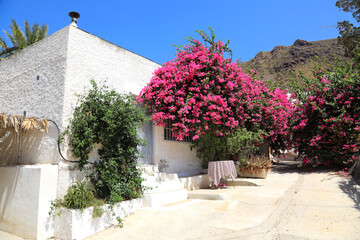 calle de pueblo con buganvilla rosa en la fachada de la casa almería 4M0A0457-as20