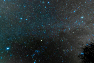 Canvas Print - winter stars