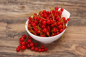 Sweet tasty fresh Red currant