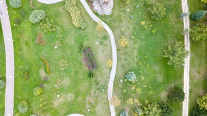 Aerial view of pathway in the park 