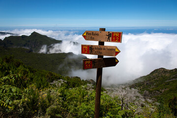 madeira