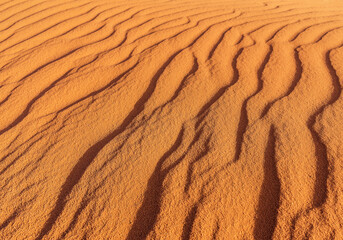  desert sand waves texture