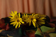 Kwiaty polne żółte na tkaninie