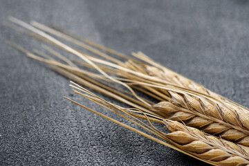 Wheat ears on a dark background close - up
