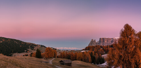 Wall Mural - panorama with beautiful autumn mountain on dawn