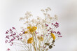 Trockenblumenstrauss vor weißem Hintergrund