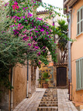 Fototapeta Kwiaty - Street in Grimaud village, Cote d'Azur, Provence, southern France