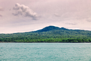 Wall Mural - Panorama of Rangitoto Island in front of Auckland, New Zealand