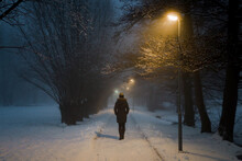 Young adult woman alone slowly walking on sidewalk under yellow street lights in mist. Foggy air. Peaceful atmosphere in snowy night. Back view.