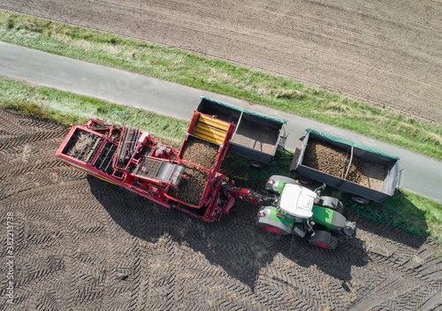 Fotografia Kartoffelernte - Luftbild, moderner Kartoffelroder im Einsatz