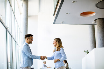 Wall Mural - Young business partners making handshake in an office