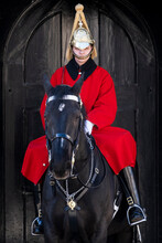 A Lifeguard Of The Queen's Guards, In Ceremonial Dress On Sentry Duty, Horse Guards, Westminster, London, England, United Kingdom