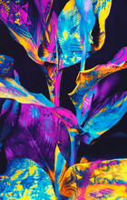 Painted Vibrant Palm Leaves Pattern,background