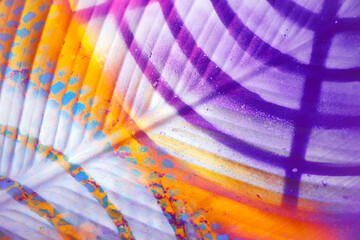 Painted colorful palm/floral pattern/background/texture