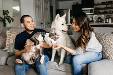 A Couple In Their House Hanging Out With Their All White Akita And Pit Bull.
